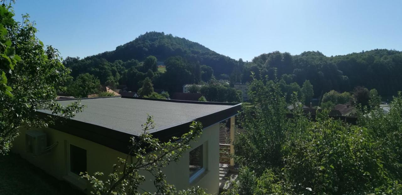Apartments Ina Rogaška Slatina Quarto foto